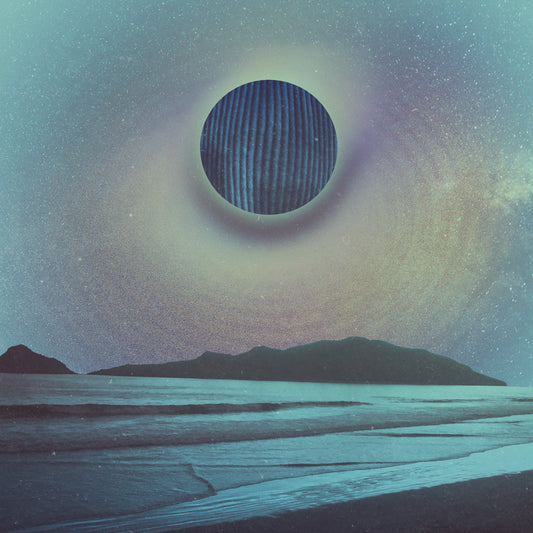 The/Theys 'Corduroy Fantasy' Vinyl LP (180 Gram)